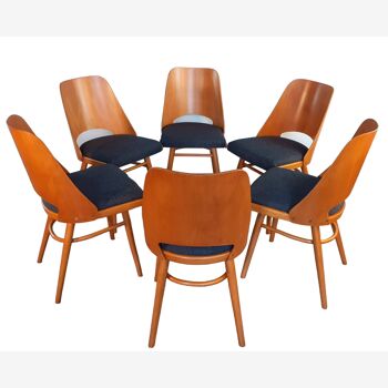 Lot de 6 chaises rénovées, design Oswald Haerdtl pour Ton, tchèque, 1960s