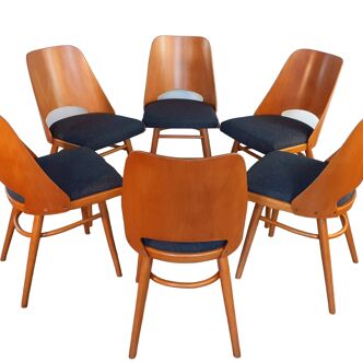 Set of 6 renovated chairs, design Oswald Haerdtl by Ton, Czech, 1960s