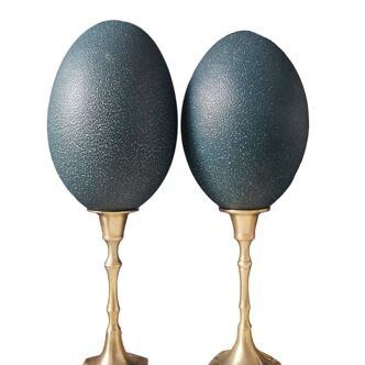 Pair of emu eggs, brass bases, 1st half XXth