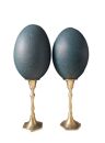 Pair of emu eggs, brass bases, 1st half XXth
