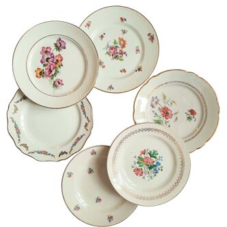 6 mismatched old flat plates