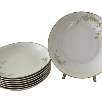 Série de 8 assiettes herbier en porcelaine vintage