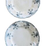 Assiettes plates Longwy