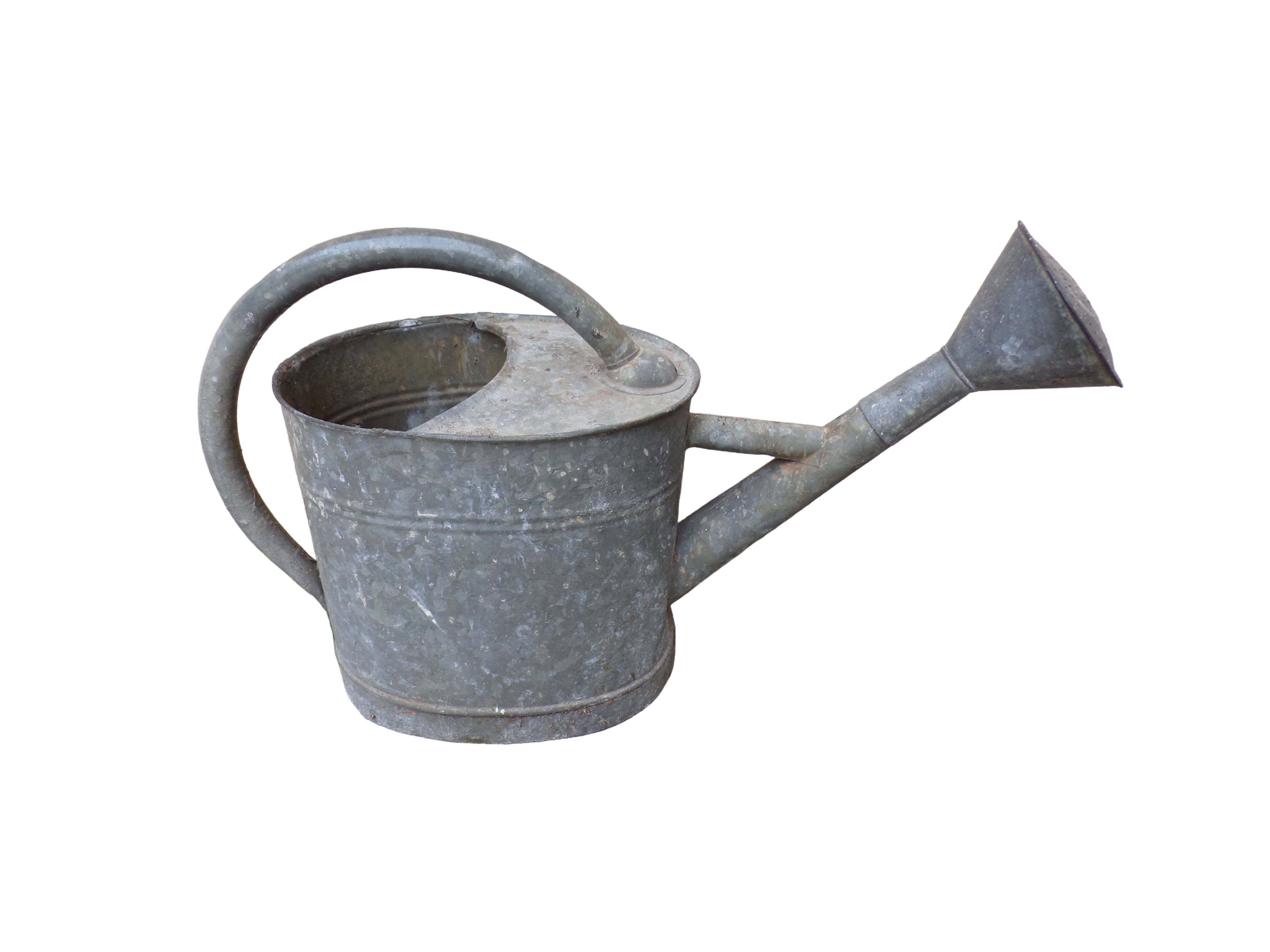 Zinc watering can with apple