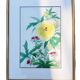 Estampe chinoise fleur jaune