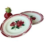 Plates Digoin Cibon Ironstone floral decoration