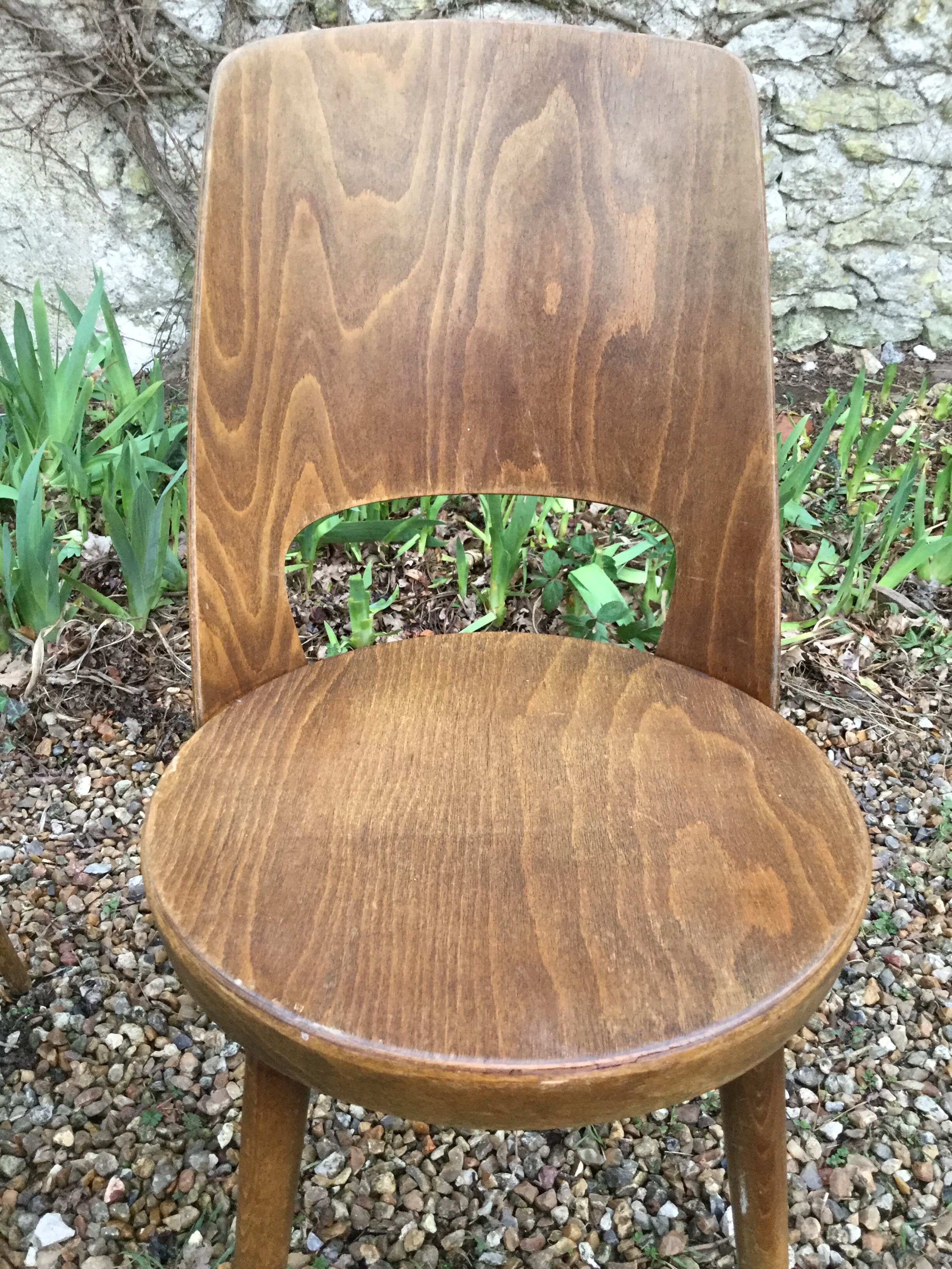 Pair of chairs Baumann Mondor