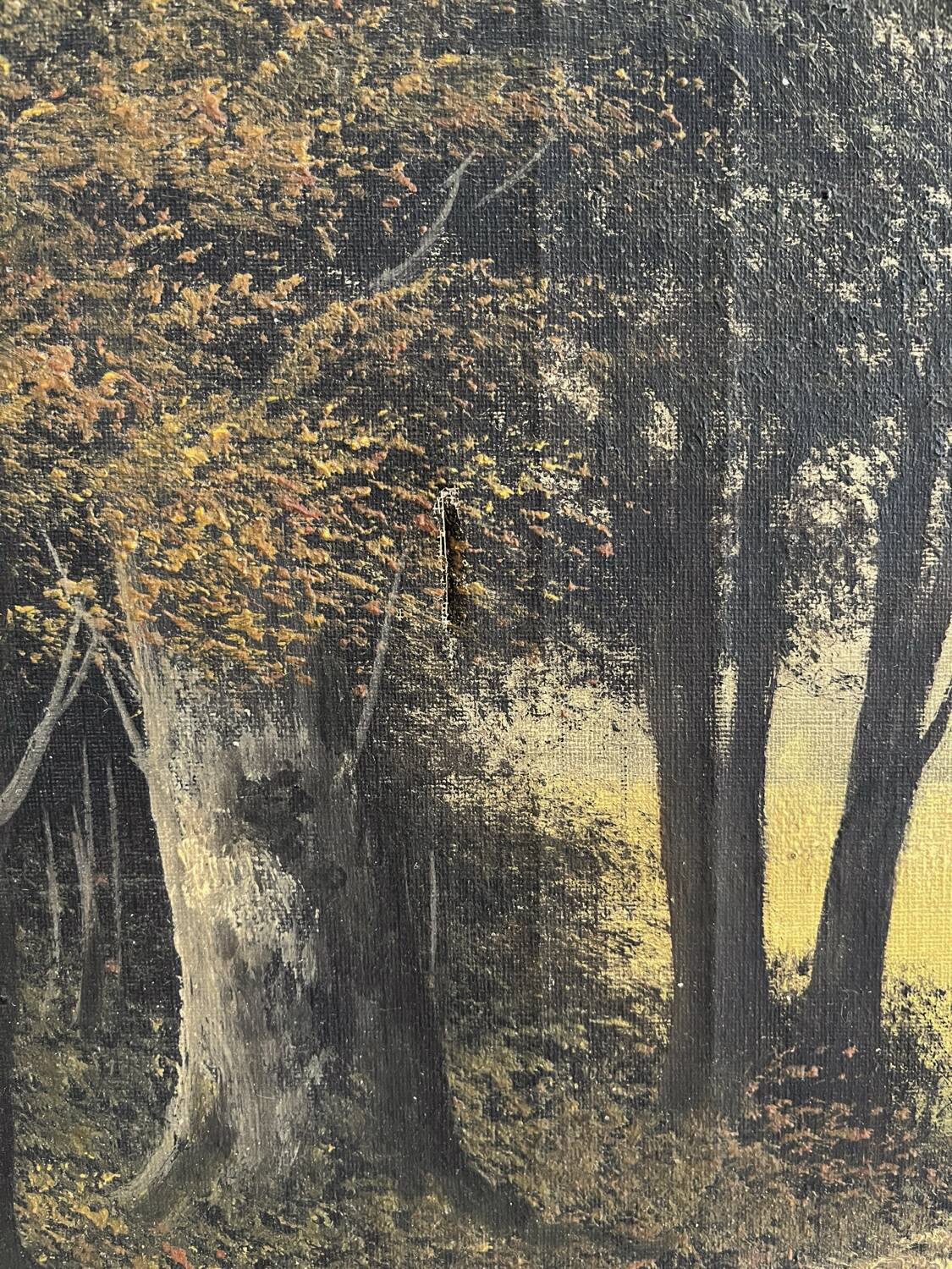 Old oil painting on canvas of a forest landscape.