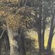 Old oil painting on canvas of a forest landscape.