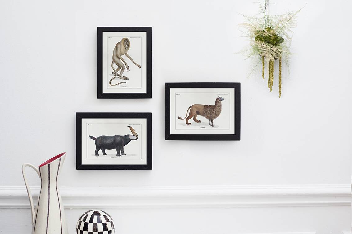 Chimera lithograph engraving animal - the guéréval