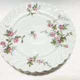 6 dessert plates. Haviland Limoges France. Perfect condition