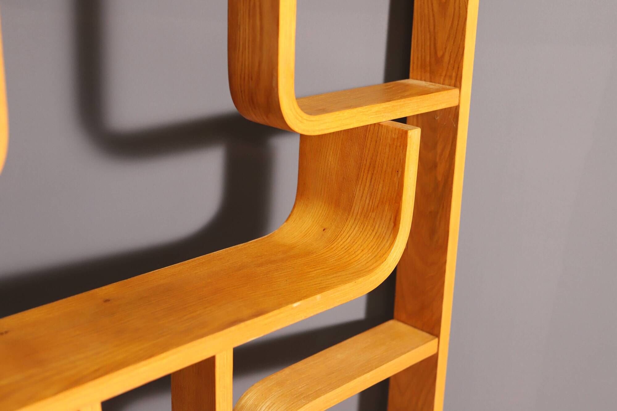 Mid-Century Divider by Ludvik Volak for Drevopodnik Holesov, 1970s