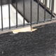 Small birdcage