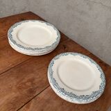 Green Fire Earth Set 6 large plates and 6 small plates