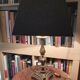 Pair of 19th century bronze lamps ibex decorations