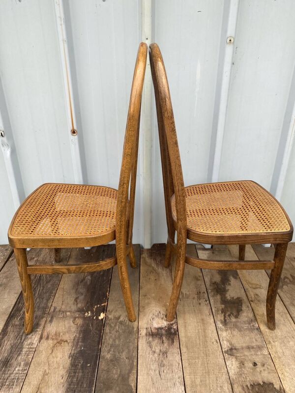 Paire chaise ancienne Baumann modèle eden bois + assise cannée vintage