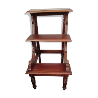 Library ladder