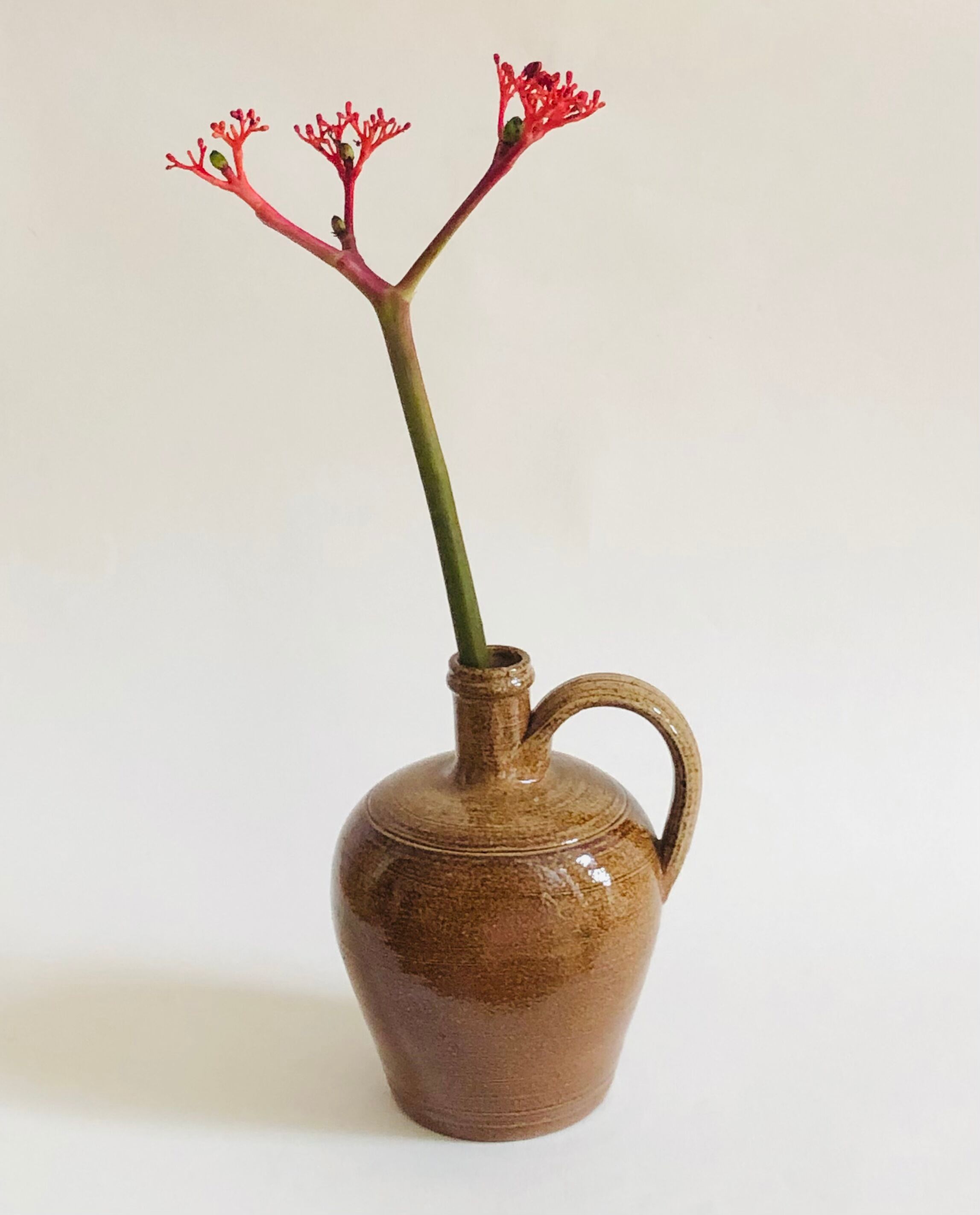 Bonny sandstone soliflore