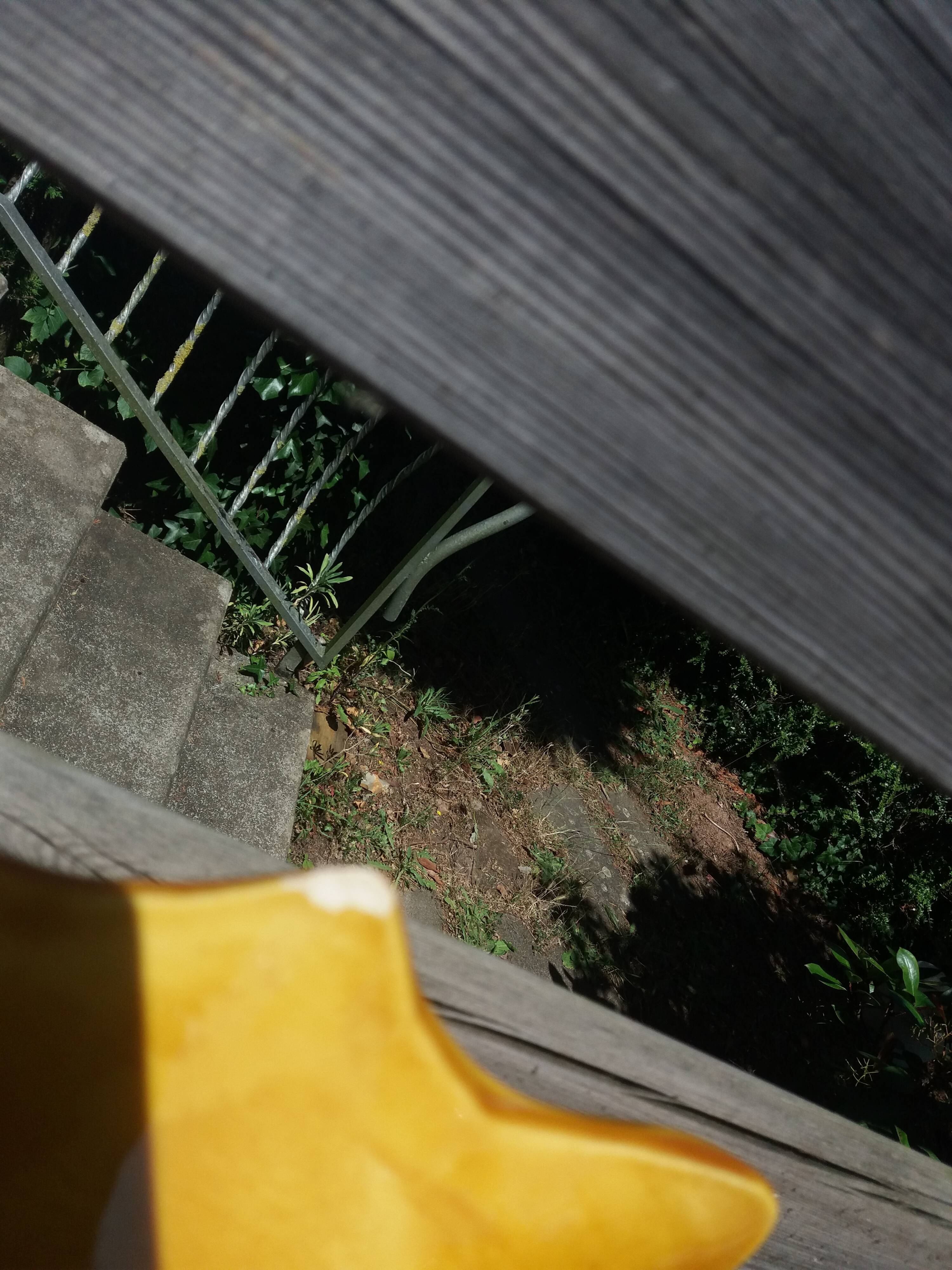 Empty fruit bowl FPP Vallauris leaf