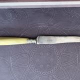 Set of 12 horn handle table knives