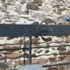 Wrought iron wine cellar 200 bottles French wine cellar Rigidex cellar shelf 1950