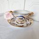 Tasse et soucoupe en porcelaine reproduction de sèvres décorées à la main par m.carpezat pour limoge