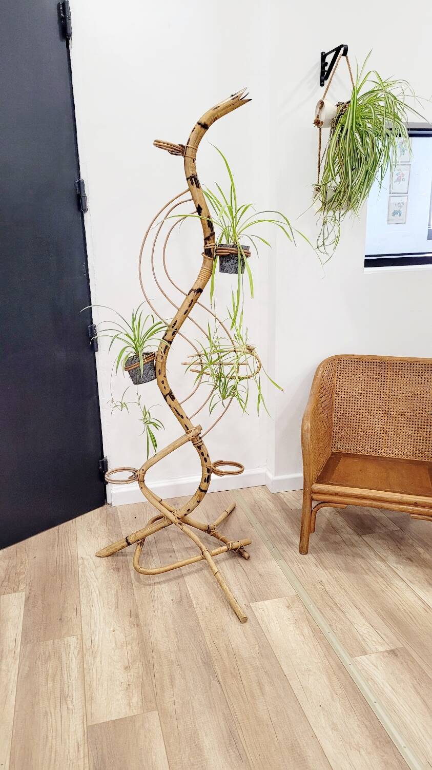 Rattan plant stand