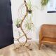 Porte plantes en rotin