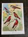 Poster "The Birds of the World" – 1969