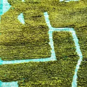 Thick Berber rug in wool – Abstract forest