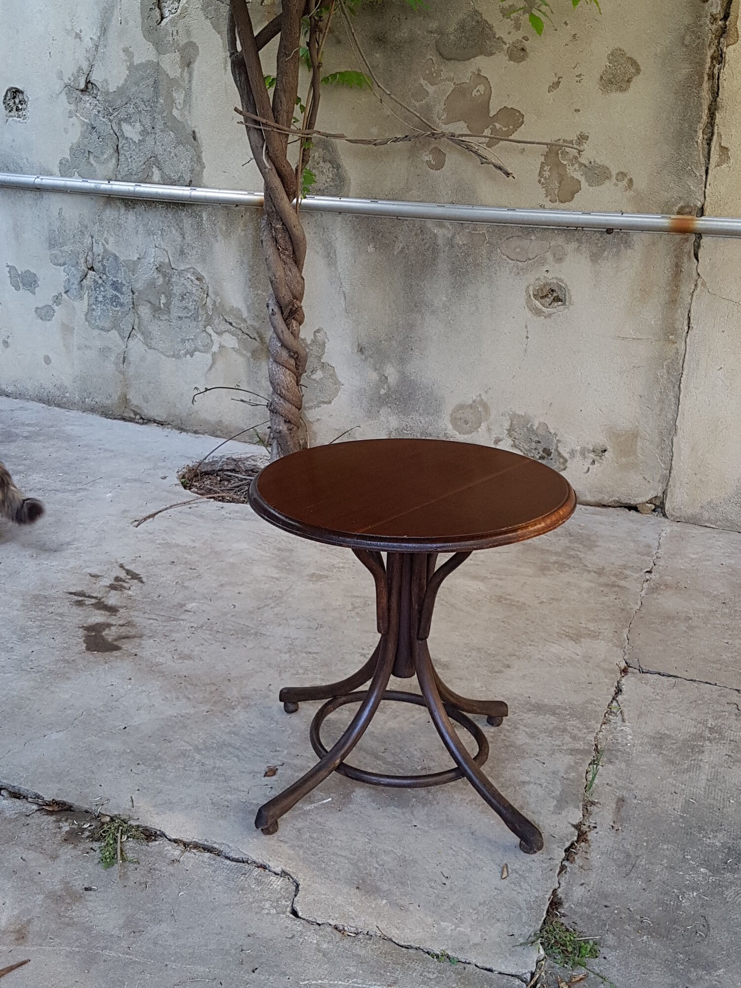 Coffee or round side table, curved wood, original label Ed Auricoste - Cahors (Lot) SB