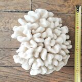 Hard white coral block, 70s