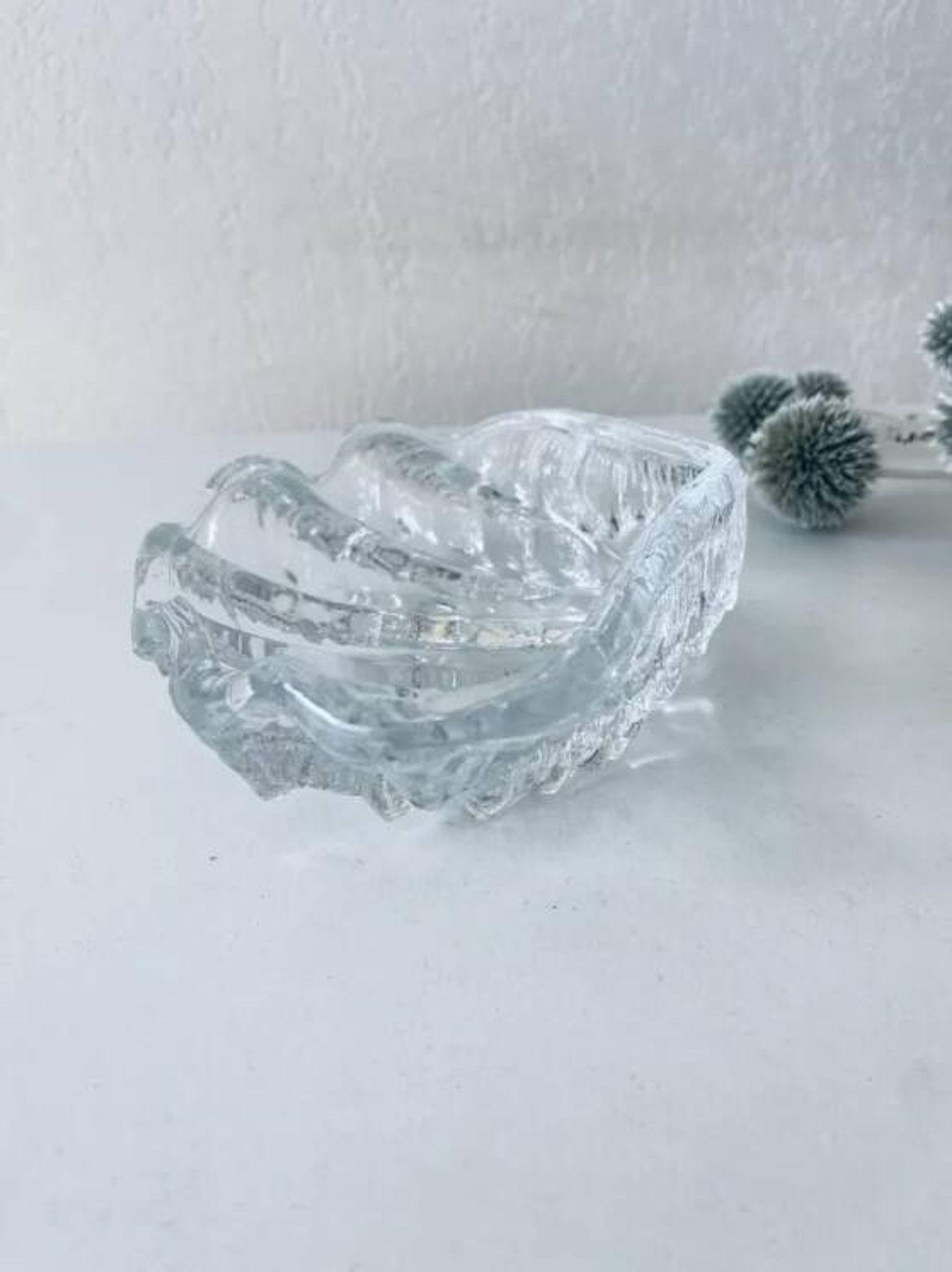 Coquillage bénitier en verre