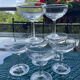 Champagne coupe