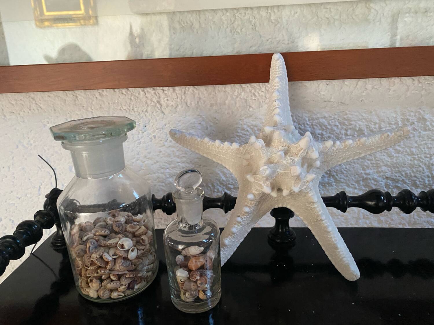 Great starfish Rhino