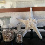 Great starfish Rhino