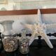 Great starfish Rhino