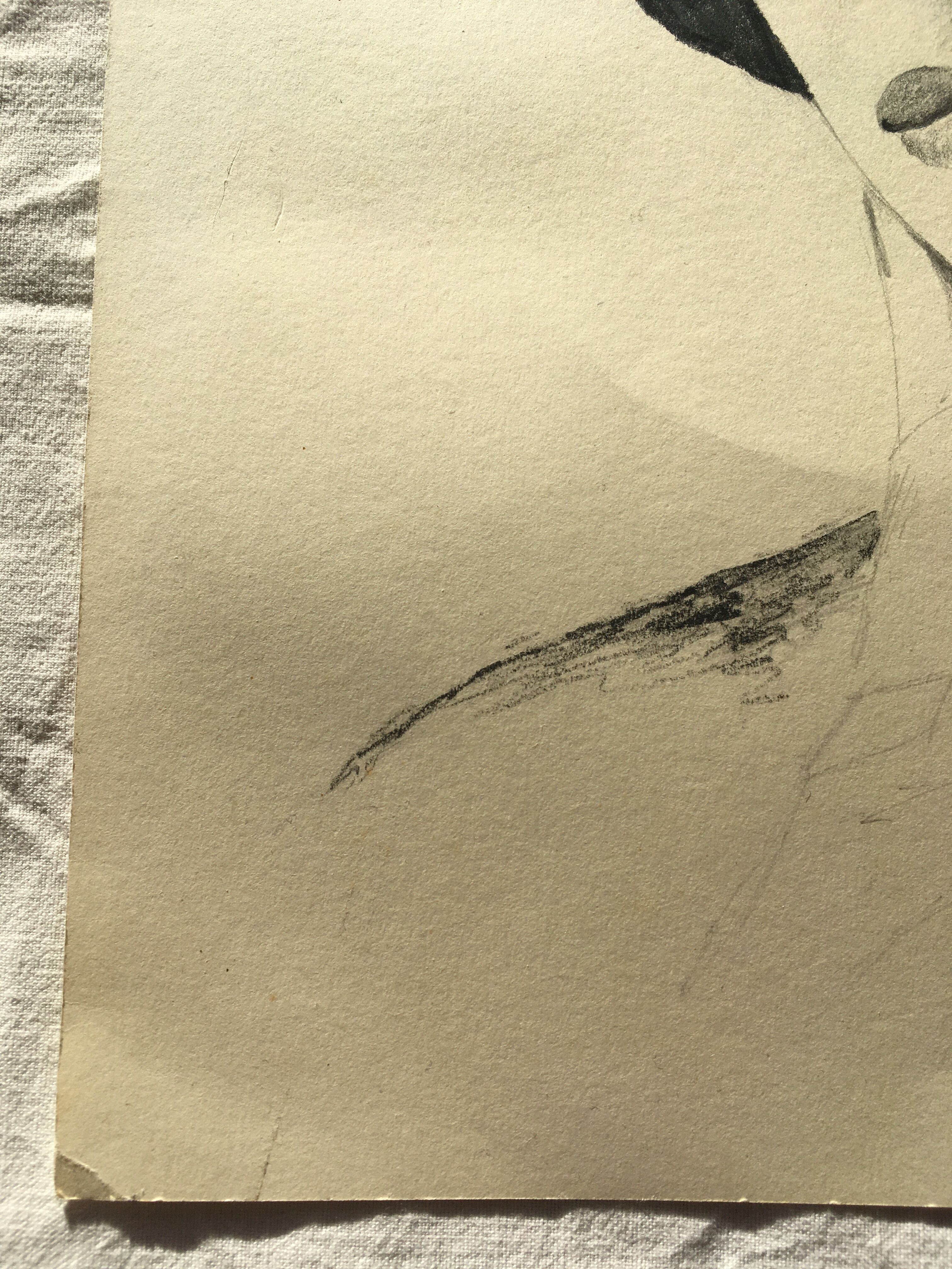 Portrait of a young woman in a beret