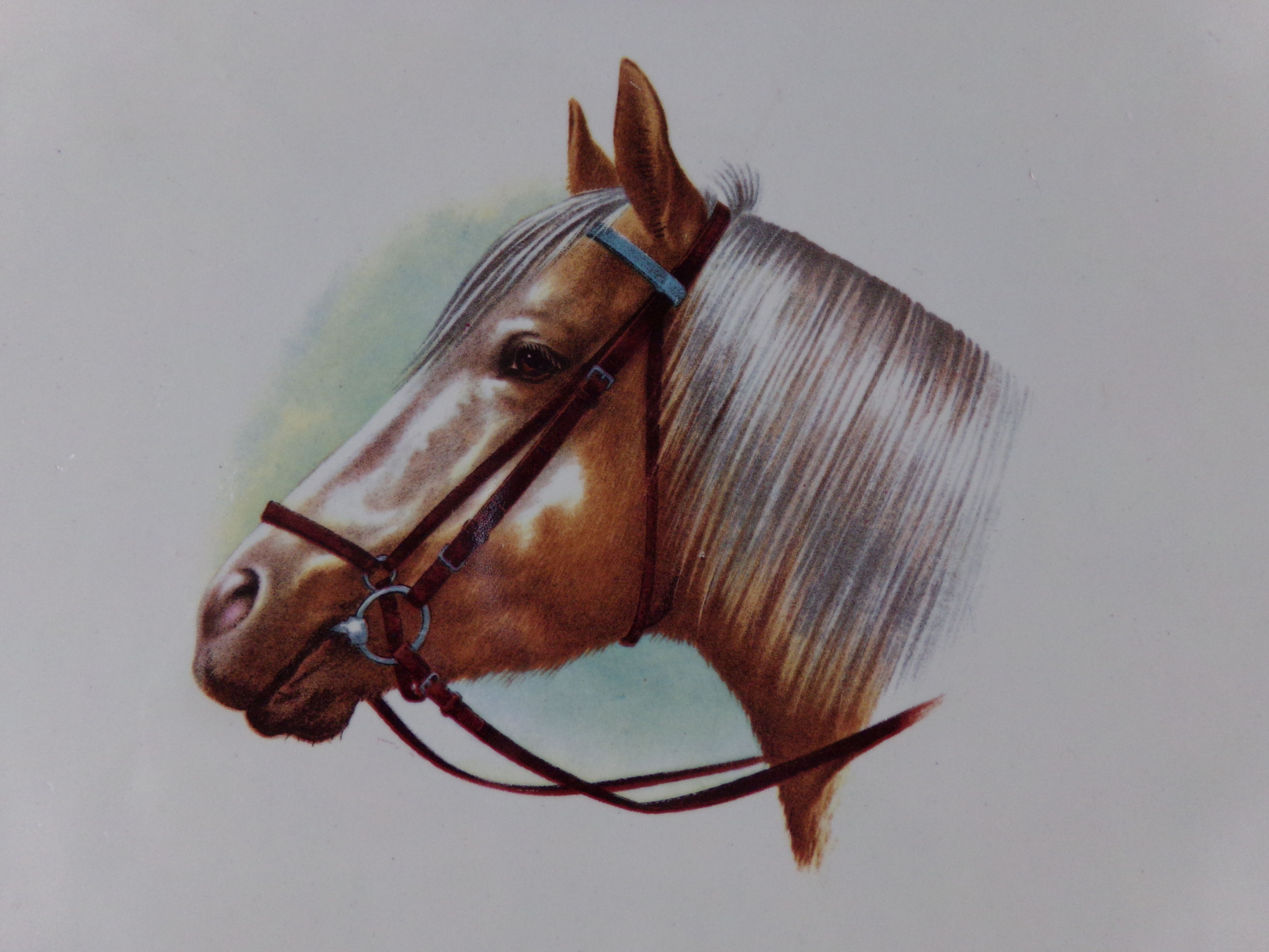 Cake dish platter in Salins earthenware