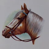 Cake dish platter in Salins earthenware