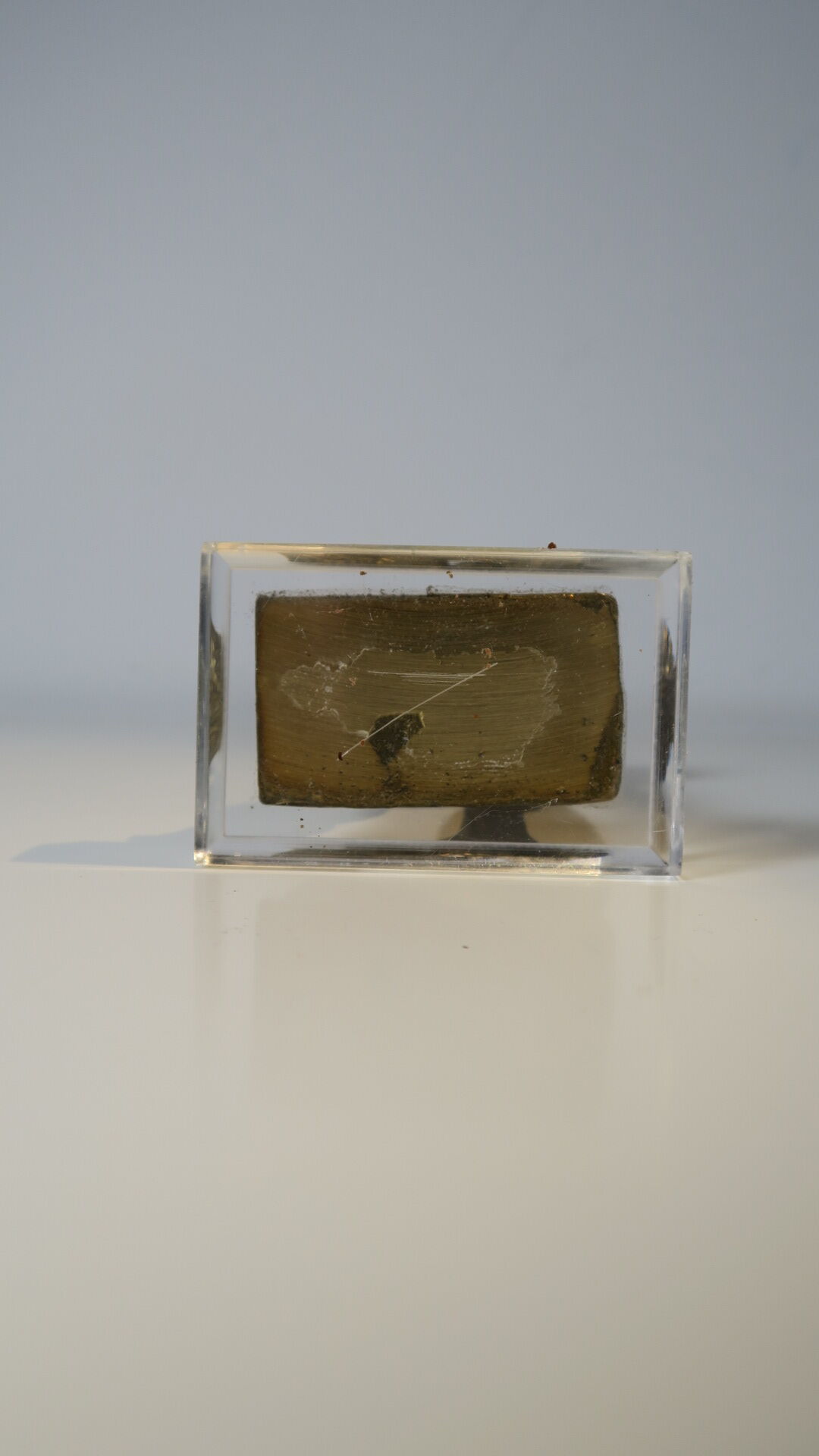 Brass sculpture, bear looking for honey in the tree