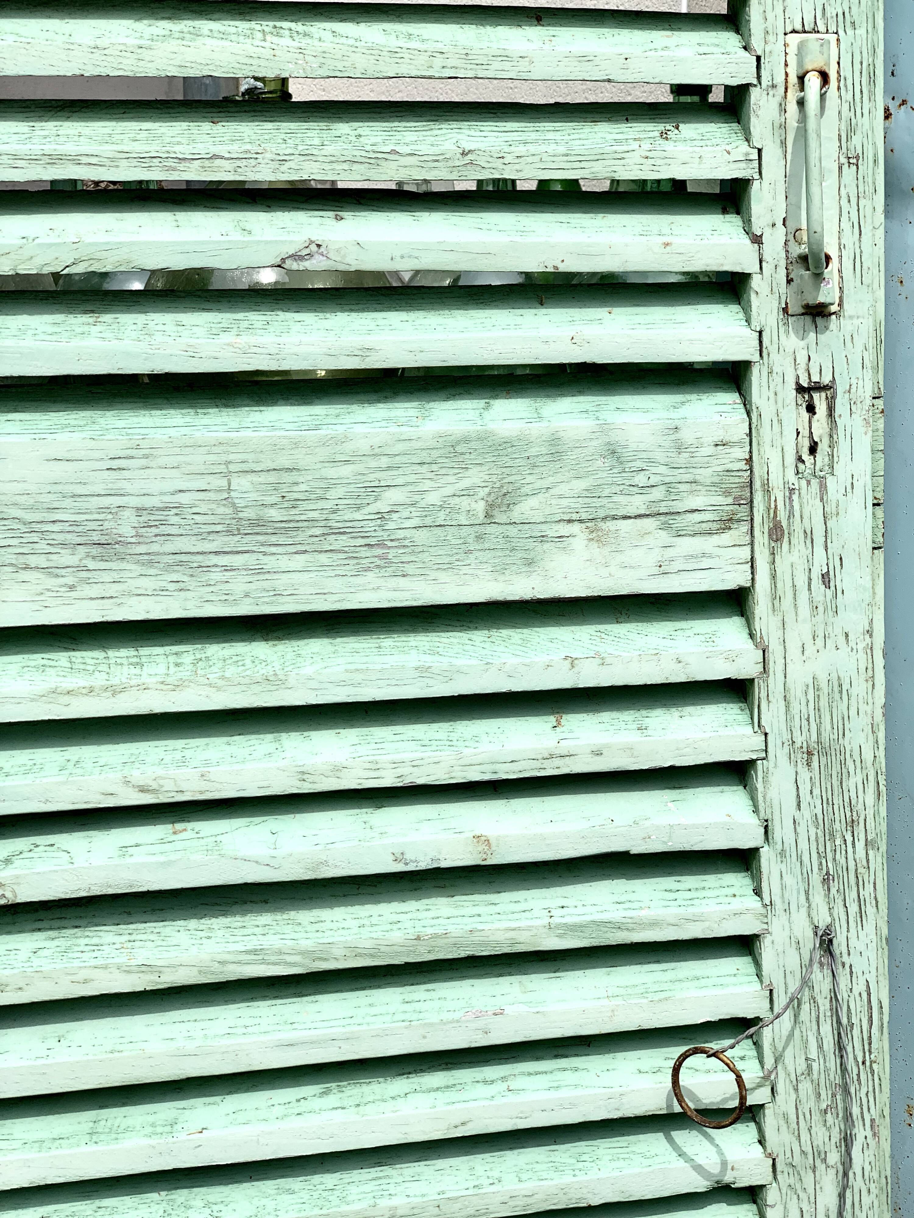 Old wood volet mint color