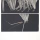 Emilio Scanavino, Composition, Colour Lithograph on Paper, 1970s