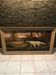 Large old painting of hunting dogs, Breton spaniel, signed Breuil.