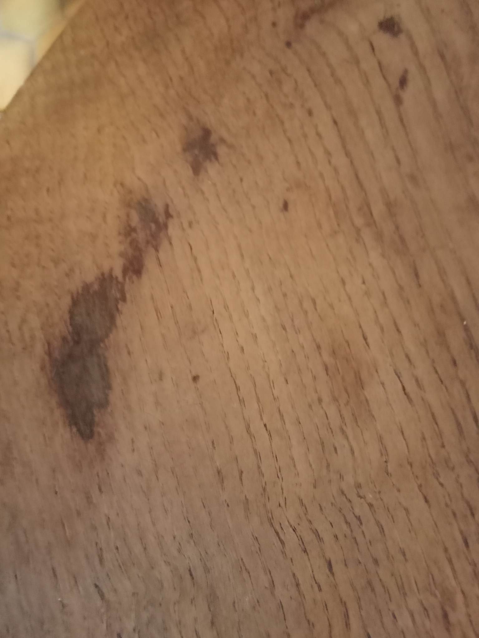 Tripod bean coffee table