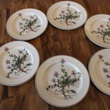 6 plates Villeroy and Boch Botanica