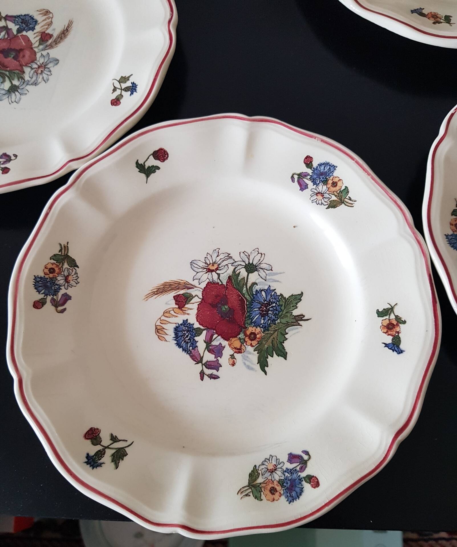 Set of 6 dessert plates, Sarreguemines Agreste
