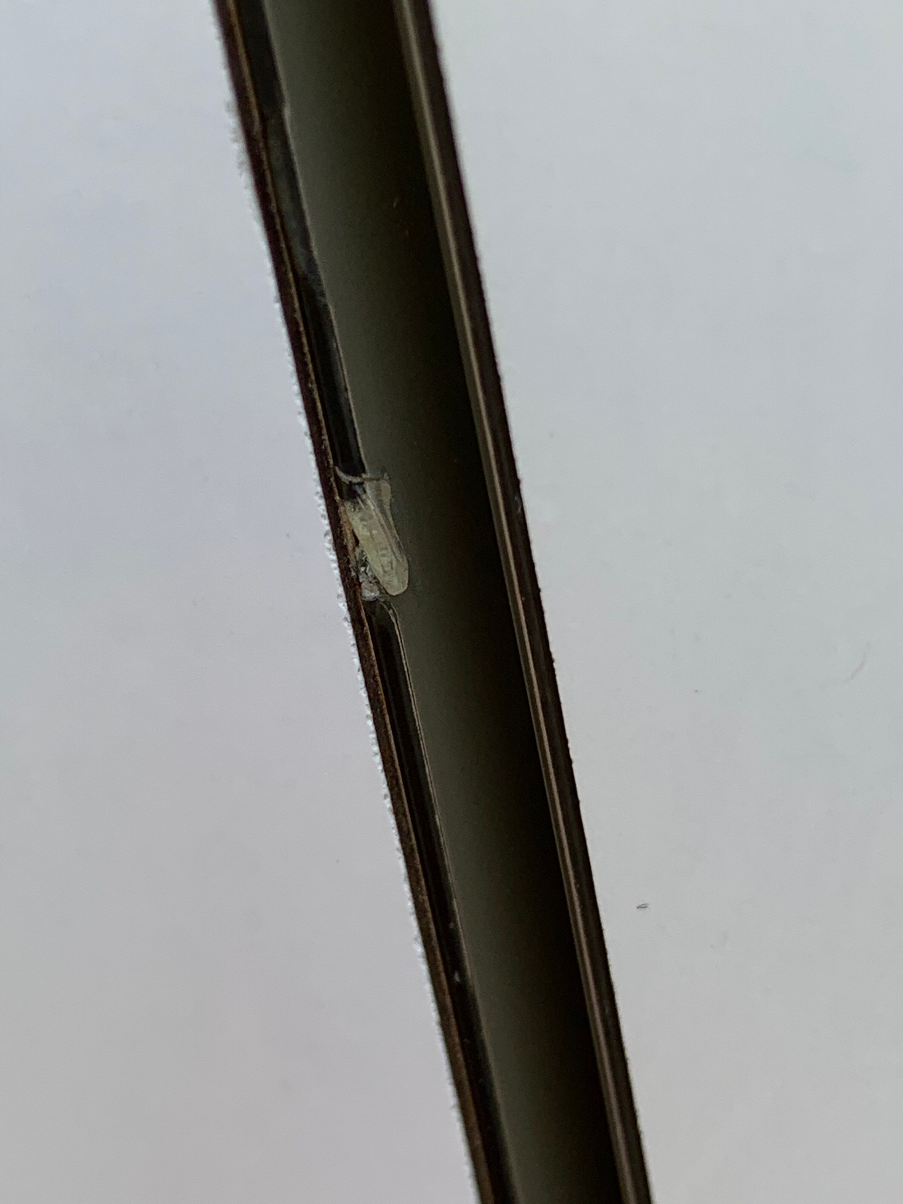 Formica sanijura 1960 wardrobe