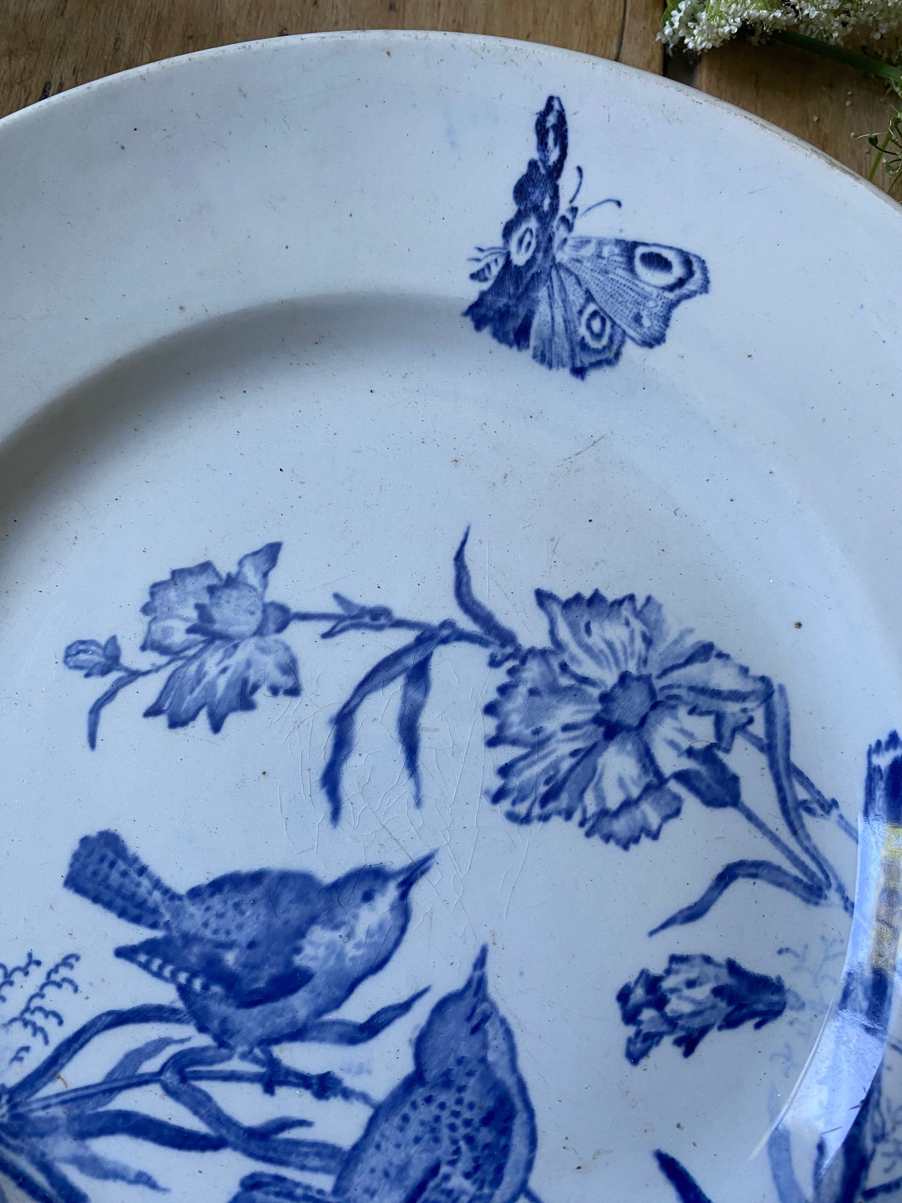 Plate decorated with blue birds and butterflies