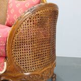 Antique Carved Sofa with Cane Sides , Czechoslovakia